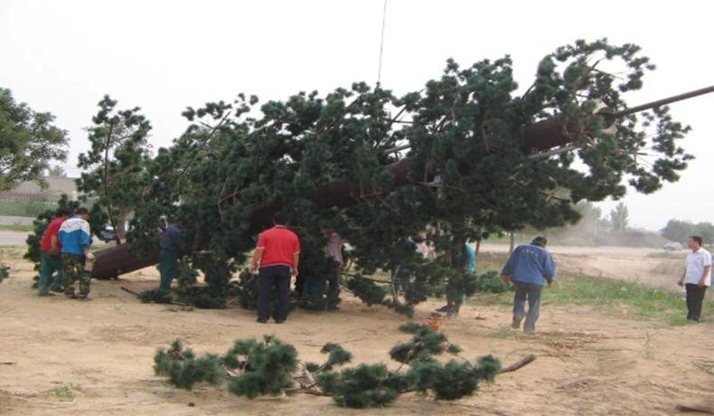 Универсальное применение камуфляжной монопольной башни