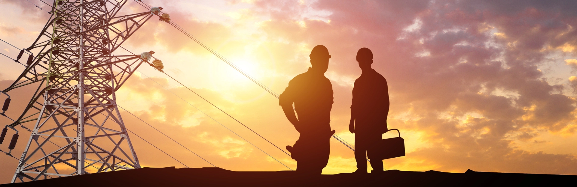 Телеком Тауэр Компания